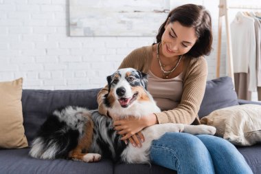 Kanepede otururken Avustralyalı çoban köpeğine sarılan mutlu genç kadın.