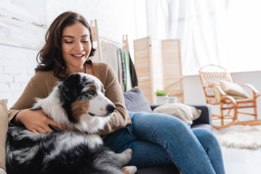 Kanepede otururken Avustralyalı çoban köpeğine sarılan heyecanlı genç kadın.