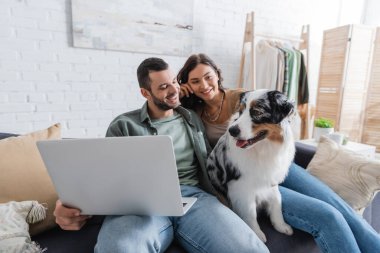 Laptoplu mutlu genç çift Avusturalya çoban köpeğine bakıyor.