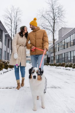 Avustralya çoban köpeğiyle gezen kışlık ceketli ve şapkalı bulanık ve mutlu bir çift.