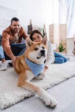 Bulanık ve mutlu çift modern oturma odasında köpeğini okşuyor. 