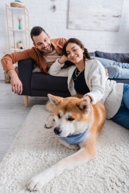 Bulanık erkek arkadaşının yanında Akia Inu 'nun köpeğine bakan neşeli genç bir kadın.