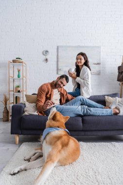 Gülümseyen kız arkadaşın yanında elinde kahveyle akita inu dog 'a bakan mutlu bir adam. 