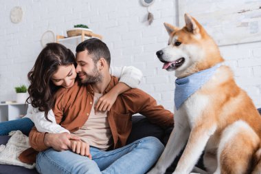 Mutlu genç çift, Akia Inu 'nun yanındaki kanepede oturup sarılıyorlar. 