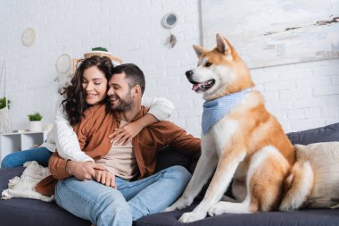 cheerful young couple hugging and sitting on couch near akita inu dog  clipart