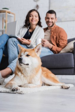 Akita Inu köpeği laptoplu ve fincanlı bulanık bir çift.