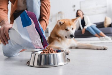 Bir adamın akita inu dog 'un yanındaki kaseye evcil hayvan yiyeceği koyduğu görüntüler.