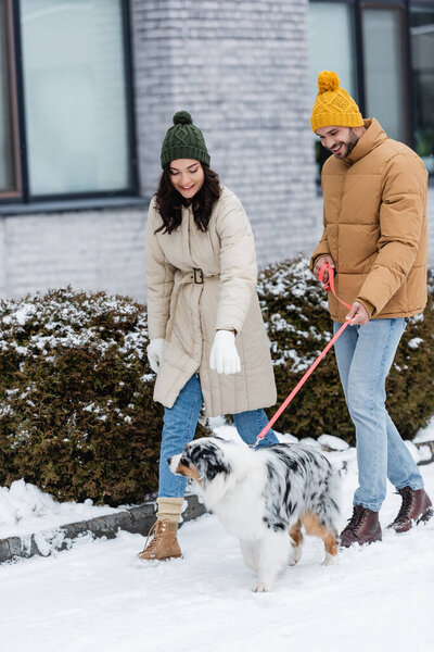 full length of happy young couple in winter jackets and knitted hats walking with australian shepherd dog