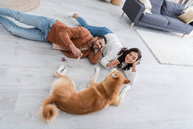 Genç bir çift yerde yatıyorlar. akita inu dog ile.