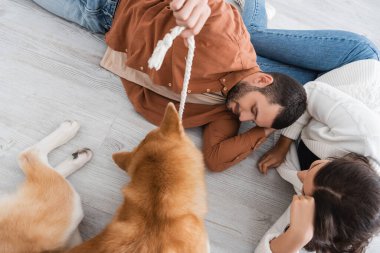 Genç bir çiftin yerde yatıp Akia Inu köpeğiyle oynamalarının en iyi görüntüsü.