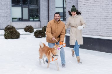Mutlu genç çift kışın akita inu köpeğiyle koşuyor.