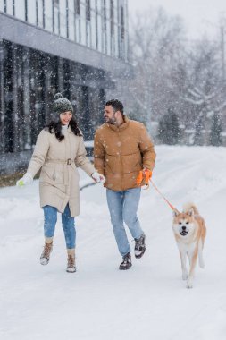 Neşeli adam tasmasını tutarken mutlu kız arkadaş ve Akia Inu köpeğiyle kar altında yürürken