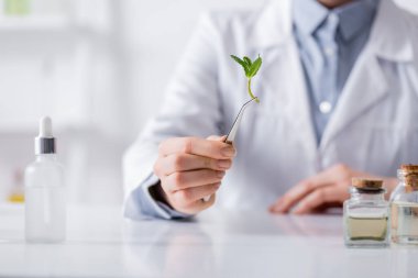 Laboratuvarda şişe ve serumun yanında naneli cımbız tutan bilim adamı görüntüsü.