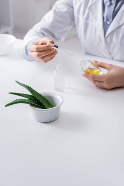 Laboratuvar asistanının elinde pipetli serumu kasenin içindeki aloe 'nin yanında tuttuğu kırpılmış görüntü.
