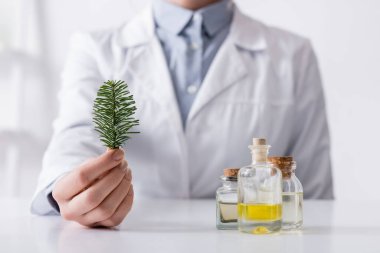 Laboratuvar asistanının şişelerin yanında köknar dalı tutarken kesilen görünümü