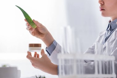 Laboratuvar asistanının laboratuarda taze aloe ve kremalı kap tutarken çekilmiş görüntüsü.