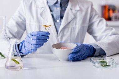Plastik eldivenli kimyagerin, kâsenin yanında kurumuş çiçekleri kozmetik tozuyla ve özlü matarayla görüntüsü. 