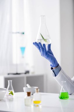 Lateks eldivenli laboratuvar asistanının kesilmiş görüntüsü. İçinde aloe özlü matara var. 