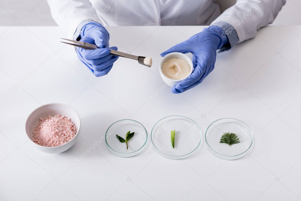 cropped view of chemist in latex gloves holding tweezers, bowl with cream and fresh plants on test plates near cosmetic powder 