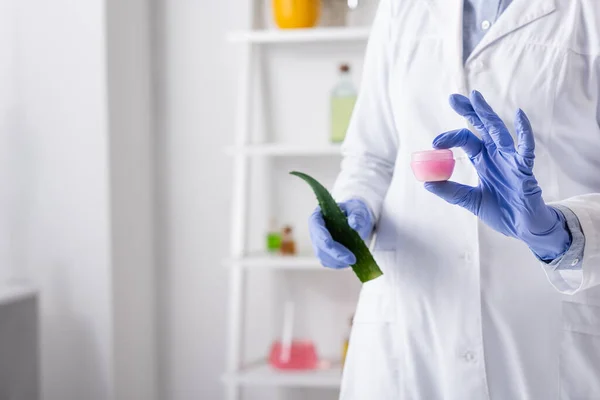 Beskärd Laboratorieassistent Latexhandskar Som Håller Aloe Blad Och Behållare Med — Stockfoto