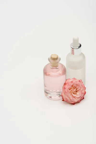 Wysoki Kąt Widzenia Butelek Produktami Kosmetycznymi Pobliżu Różowy Kwiat Kwitnący — Zdjęcie stockowe