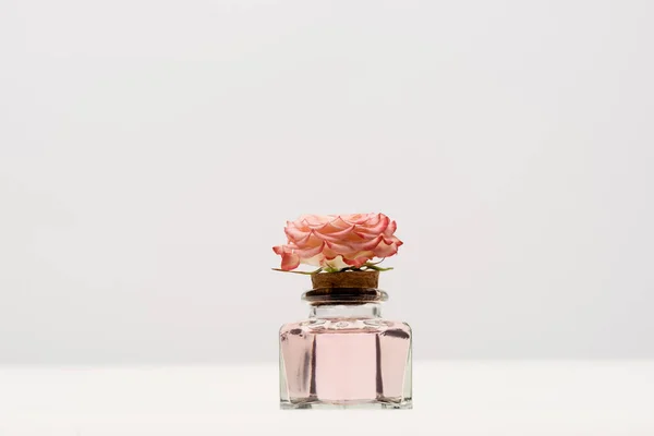 Fleur Rose Sur Bouteille Avec Parfum Sur Blanc — Photo