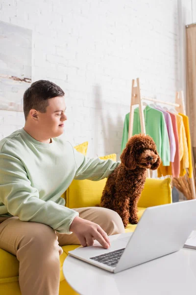 Adolescente Com Síndrome Poodle Petting Usando Laptop Sofá Casa — Fotografia de Stock