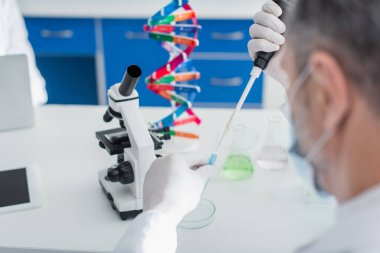 Tıbbi maskeli bulanık genetikçi mikroskop ve DNA modelinin yanında mikro pipetle çalışıyor.
