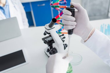 Lateks eldivenli biyoteknoloji uzmanının mikroskop yakınında mikro pipet ve matara tutarken çekilmiş görüntüsü.