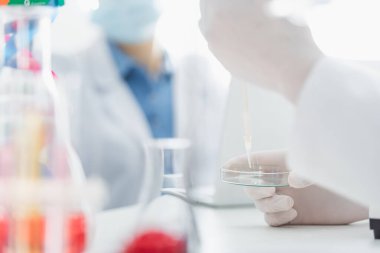 Bulanık arka planda pipeti ve petri kabı olan bilim adamının kırpılmış görüntüsü