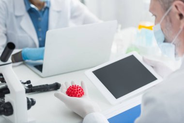 Tıbbi maske takan biyolog elinde boş ekranlı dijital tablet ve koronavirüs bakteri modeli tutuyor.