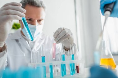 Tıbbi maske ve lateks eldivenli bir genetikçi laboratuarda test tüpleriyle çalışıyor.