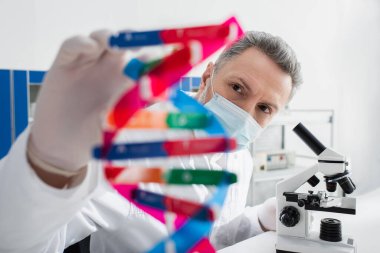 Bulanık DNA modelinin yanında tıbbi maskeli bir genetikçi ve laboratuarda mikroskop.