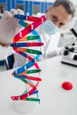DNA modelinin seçici odak noktası bulanık arka planda tıbbi maskeli genetikçi
