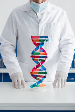 Genetikçinin beyaz önlüklü, tıbbi maskeli ve lateks eldivenli görüntüsü DNA modelinin yanında.