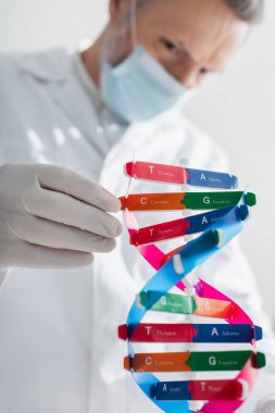 Tıbbi maskeli bulanık genetikçi yakınlarındaki DNA modelinin seçici odağı