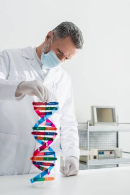 Tıbbi maskeli bir genetikçi biyoloji laboratuvarında DNA örneğine bakıyor.