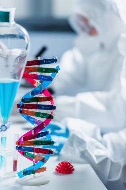 Genetik uzmanlarının yakınındaki DNA ve koronavirüs bakteri modelleri bulanık arkaplanda