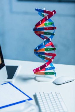 Laboratuvarda masadaki bilgisayar faresinin yanındaki DNA yapısının modeli
