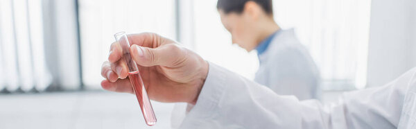 partial view of bioengineer holding test tube with liquid near blurred colleague, banner