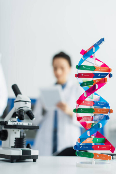 selective focus of dna model near microscope and geneticist on blurred background