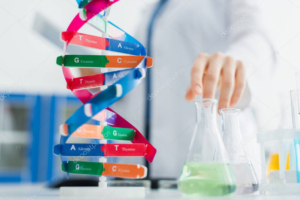 selective focus of dna model and flasks near cropped geneticist on blurred background