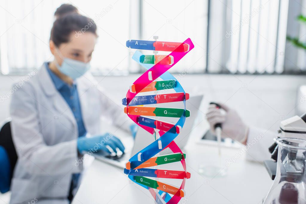 selective focus of dna structure model near blurred geneticist in medical mask