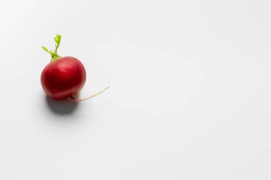 Top view of radish on white background 