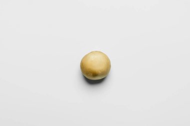 Top view of mushroom on white background 