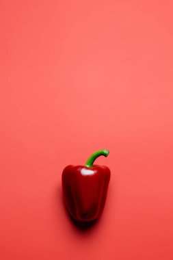 Top view of fresh paprika on red background  clipart