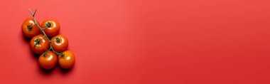 Top view of fresh cherry tomatoes on red background, banner 