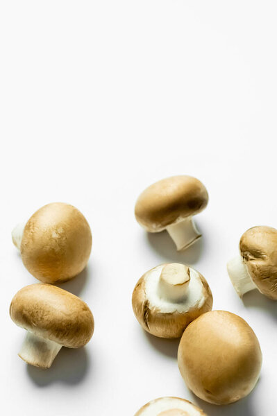 Крупный план спелых грибов на белом фоне с копировальным пространством