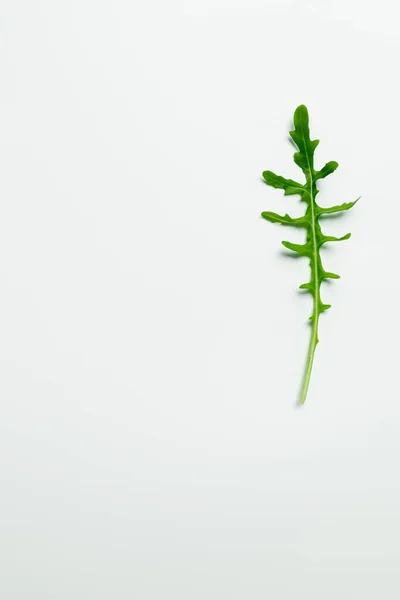 Top View Arugula Leaf White Background — Stock Photo, Image