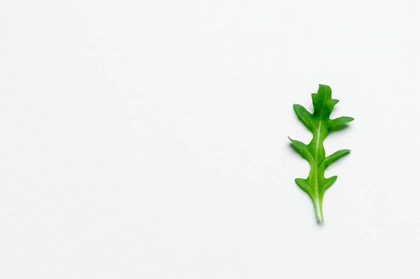 Top view of organic arugula leaf on white background 